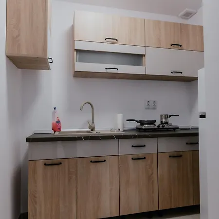 Apartament Plevnei2 *
